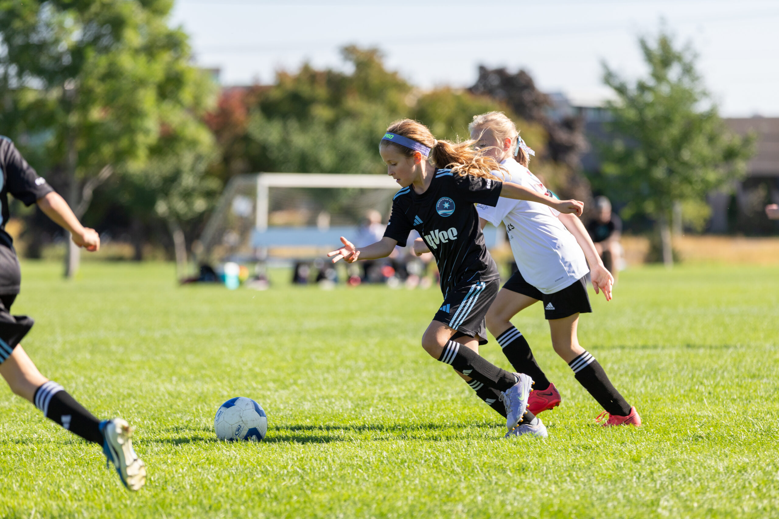 54815133957_2f71803eb1_o